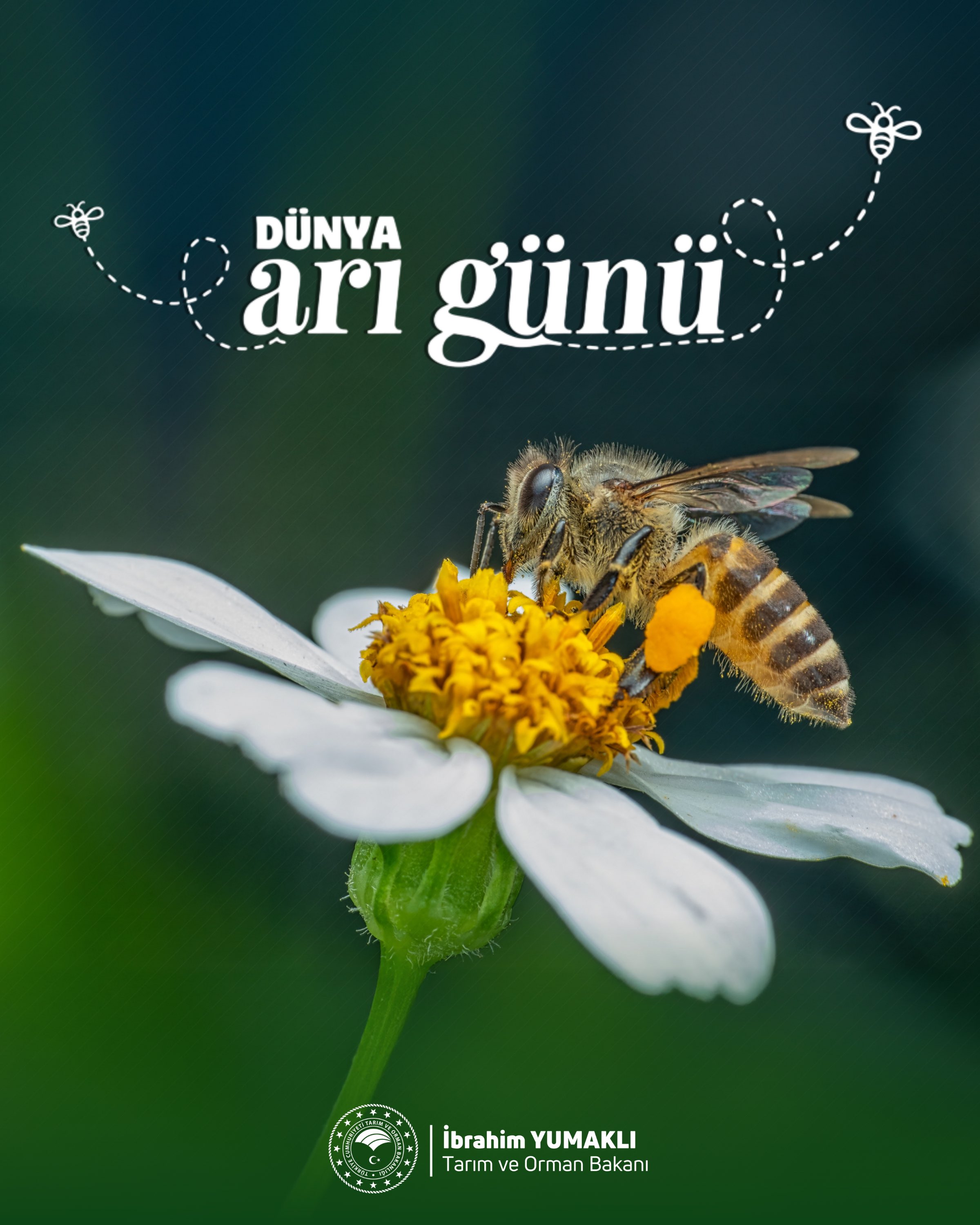 Dünya Arı Günü'nde arıcılığın önemi vurgulandı