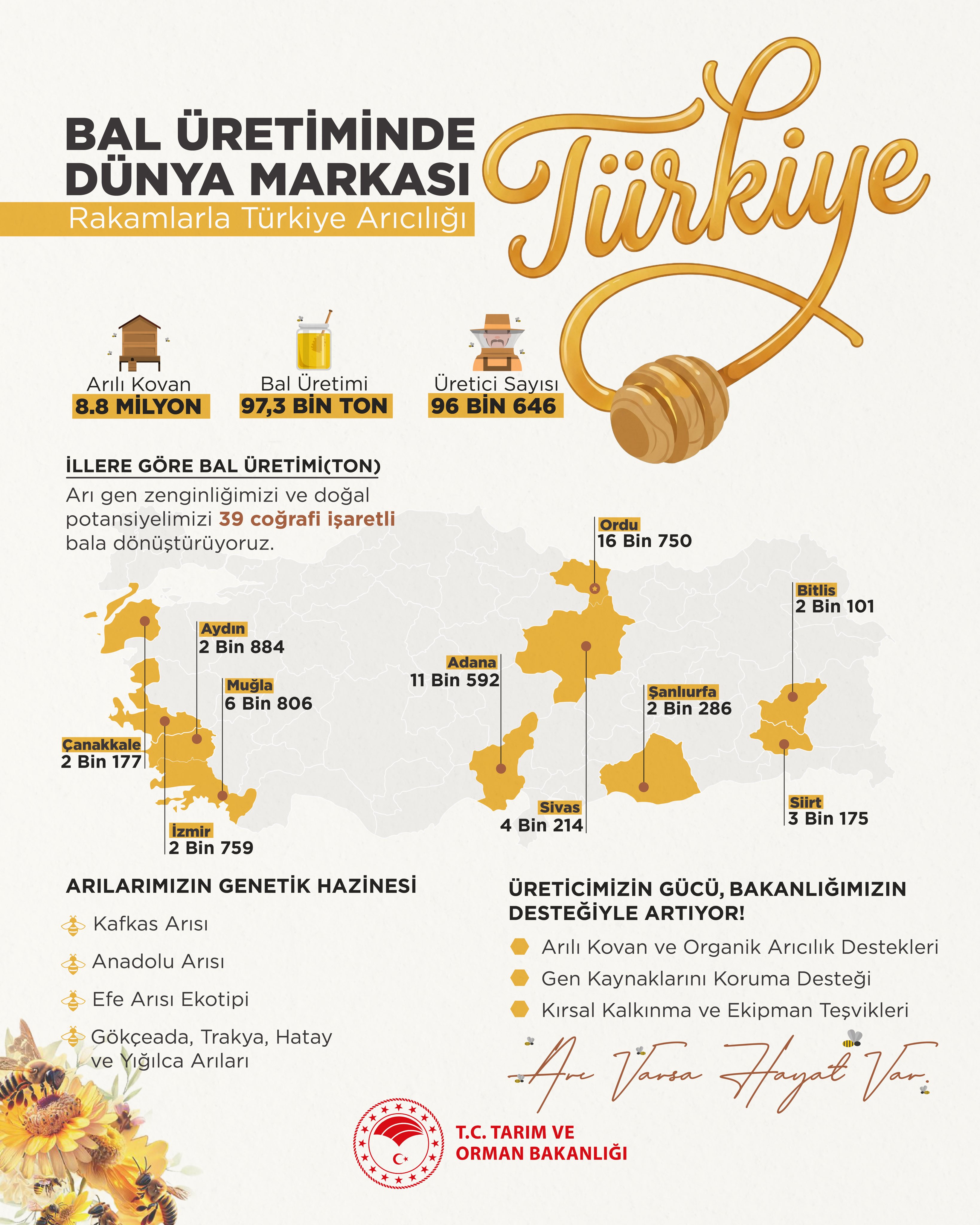 Dünya Arı Günü'nde bal ve doğa vurgusu