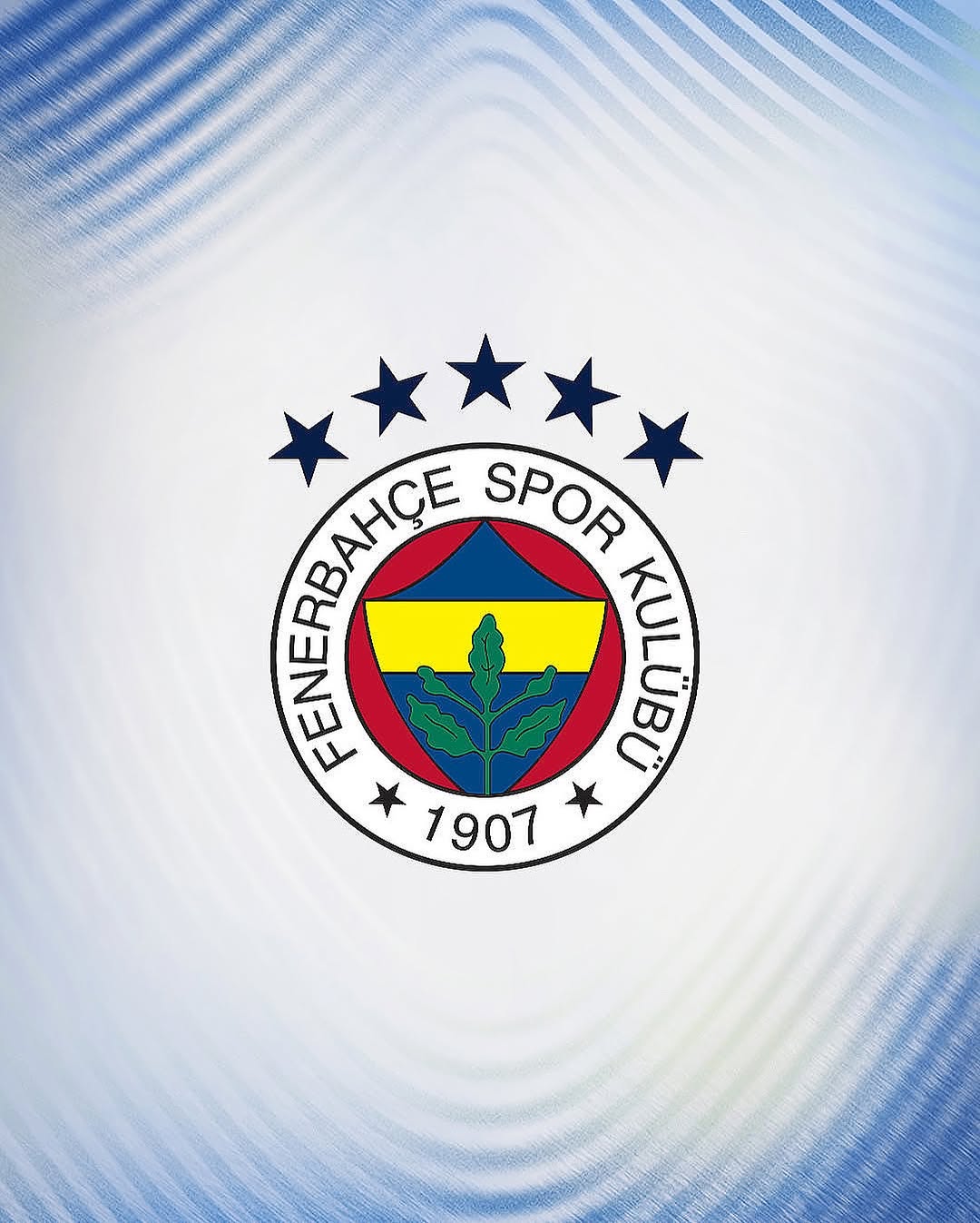 Fenerbahçe Futbol Takımı Oyuncusu Levent Mercan'ın Sağlık Durumu Hakkında Açıklama