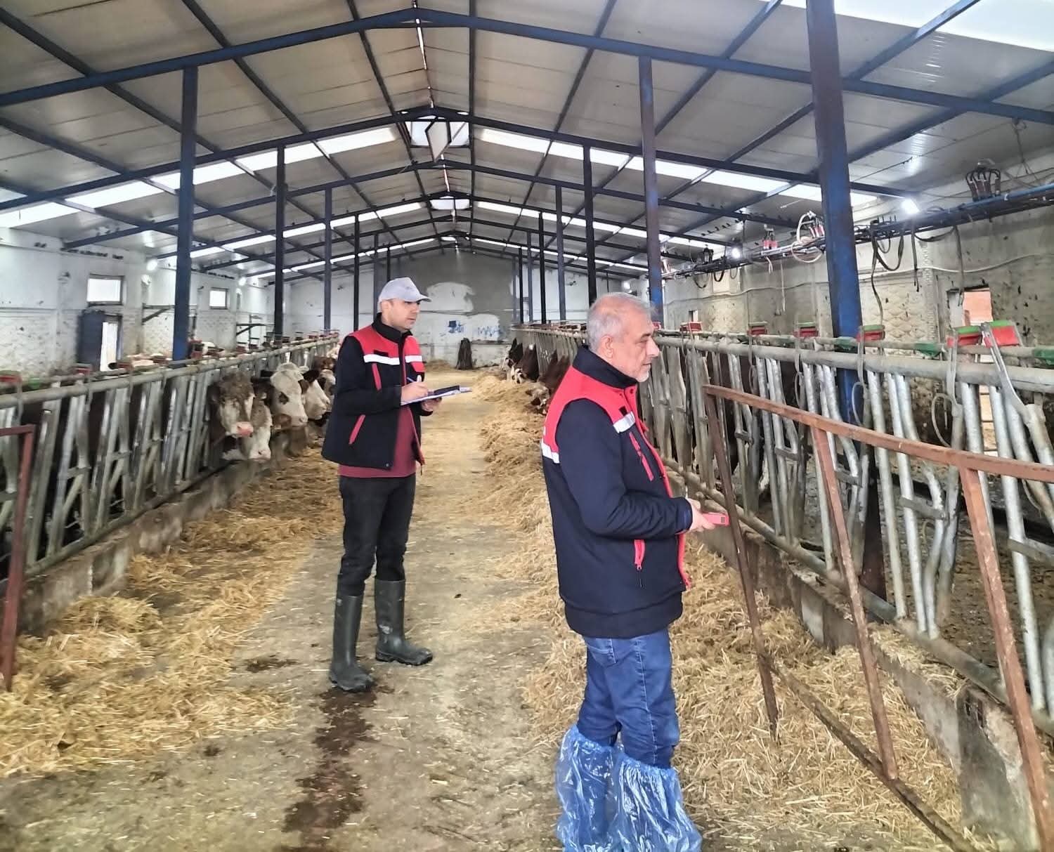 Hayvancılık İşletmelerinde Kapasite Ölçümleri Devam Ediyor!