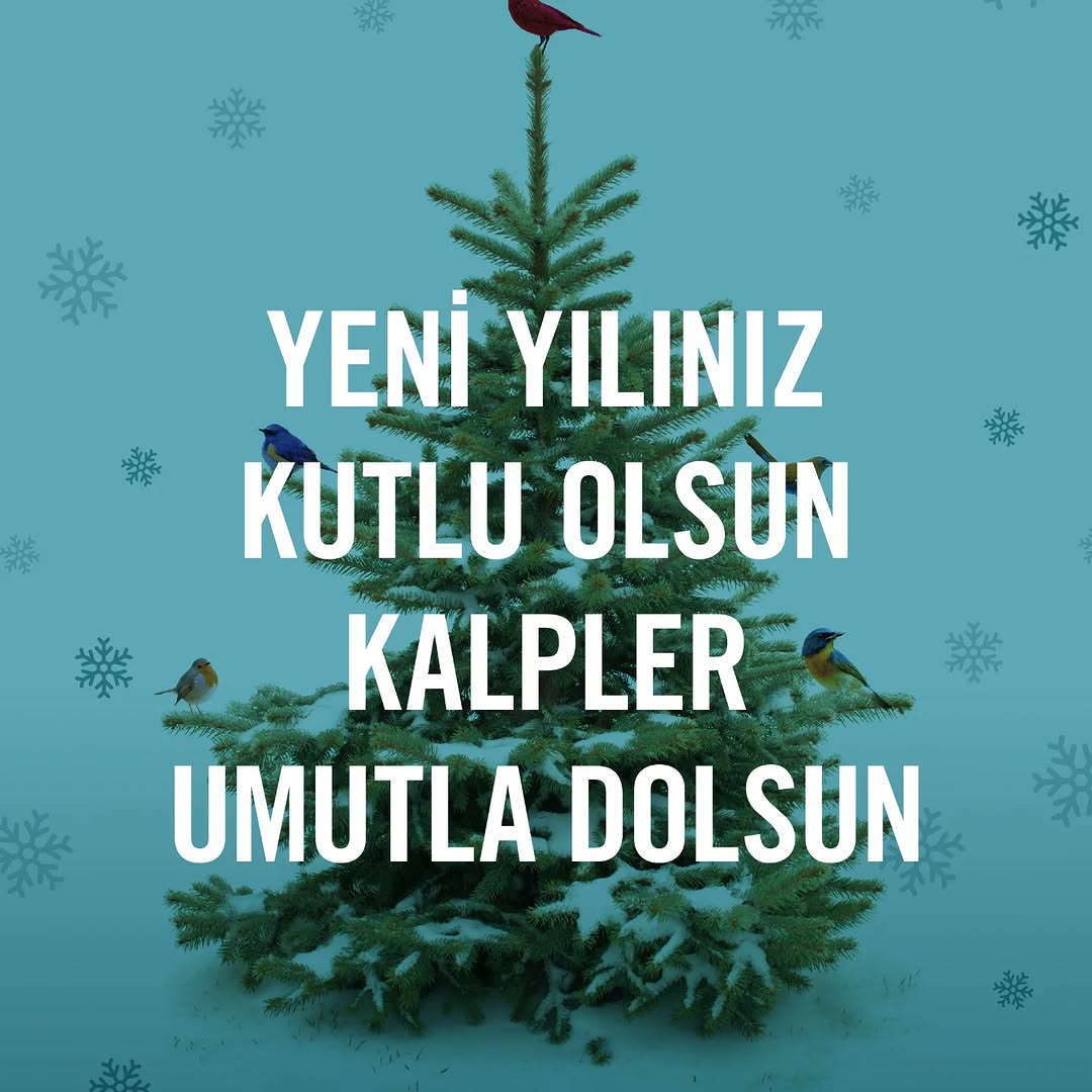 Yeni Yıl Kutlamaları ve Umut Dolu Dilekler