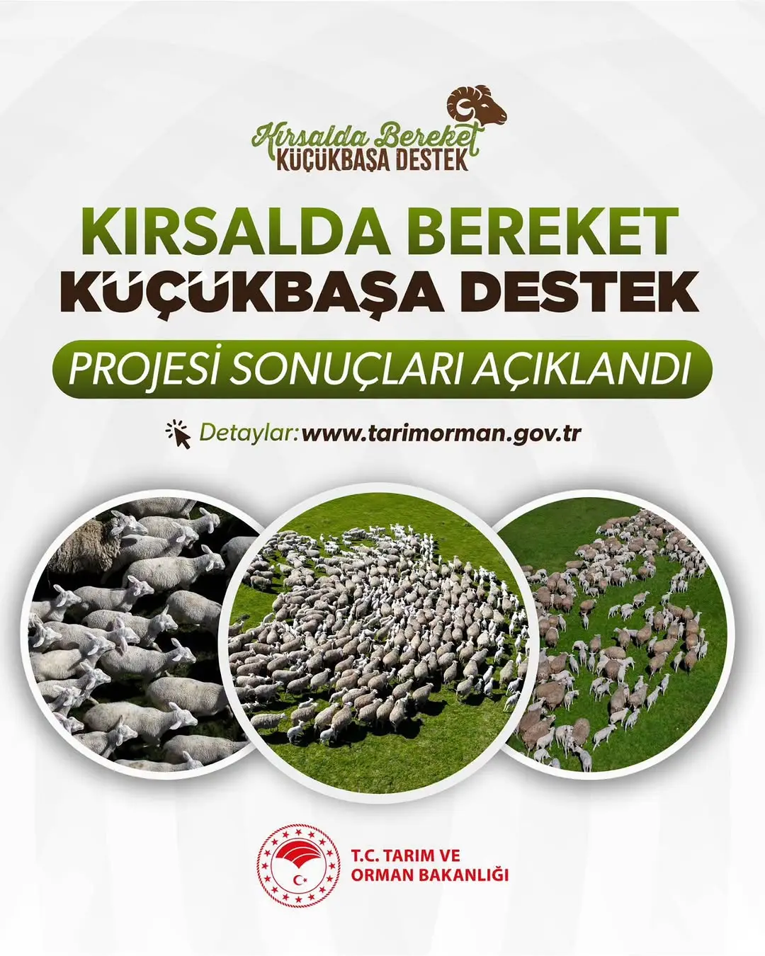 Kırsalda Bereket Küçükbaşa Destek Projesi Sonuçları Açıklandı