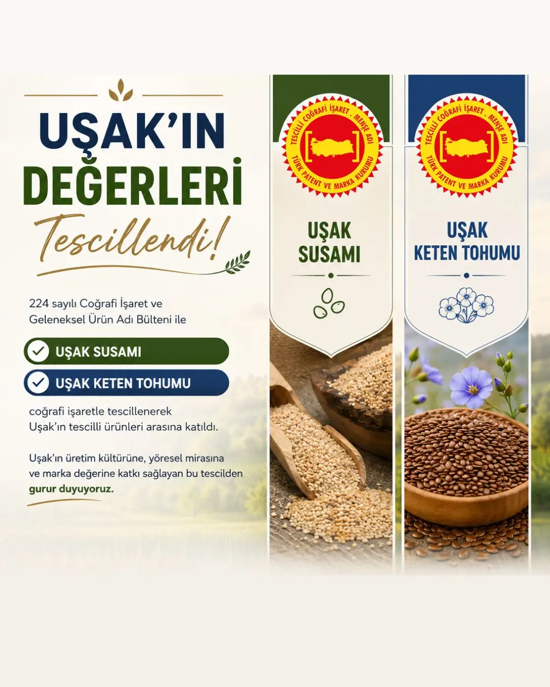 Uşak'ın Değerleri Coğrafi İşaret Tescili Aldı